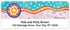 Confetti Address Labels Image 4