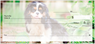 Cavalier King Charles Spaniel Checks