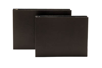 Economy Business Binder