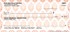 Sunshine Checks Image 2