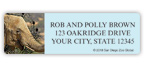 San Diego Zoo Elephants Address Labels