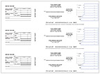 Business 3 To A Page Deposit Slips