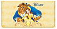 Beauty and The Beast Checkbook Cover