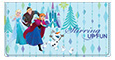 Frozen Northern Lights Checkbook Cover