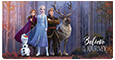 Frozen 2 Checkbook Cover