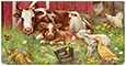 Barnyard Babies Checkbook Cover