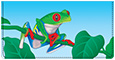 Designs by Shan™ Red-Eyed Tree Frog Checkbook Cover