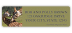 San Diego Zoo Giraffe Address Labels