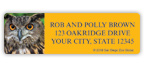 San Diego Zoo Owls Address Labels