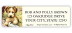 Barnyard Babies Address Labels